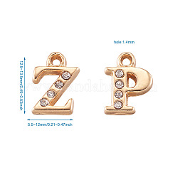 Legierung Rhinestone-Charme&nbsp;ALRI-T008-01G