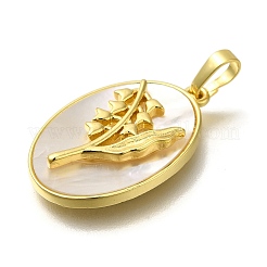 Pendentifs de fleur de naissance en coquillage pavé en laiton&nbsp;FIND-I040-04E