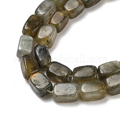 Perline labradorite naturale fili&nbsp;G-H087-D03-01
