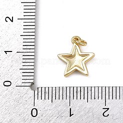 Messing Emaille Anhänger / charms&nbsp;KK-B150-18G-01