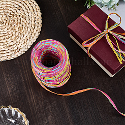 6 colori di cordini di carta rafia&nbsp;OCOR-WH0063-110A