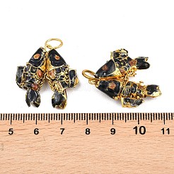 Pendentifs cloisonnés en laiton&nbsp;KK-P251-A01-G-09