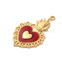 Pendentifs en acier inoxydable 304 émaillés&nbsp;STAS-D362-01G-03