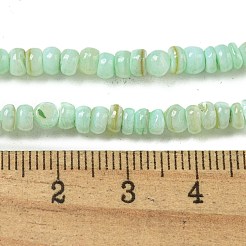 Teñidos naturales de agua dulce cuentas de concha hebras&nbsp;BSHE-G039-07E