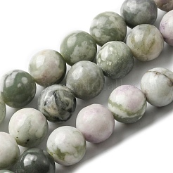 Natürliche Frieden Jade Perlen Stränge&nbsp;X-G-E598-04B