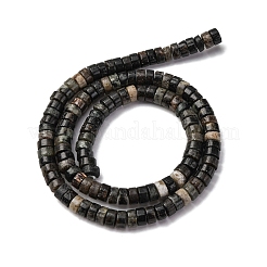 Perline biotite naturale fili&nbsp;G-L624-I12-3x6mm