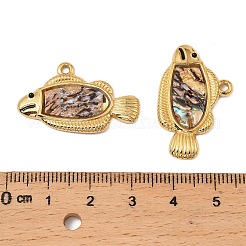 Natürliche Paua-Muschelfisch-Anhänger&nbsp;STAS-T068-85G