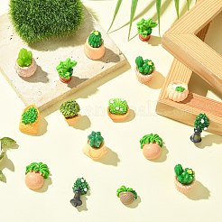 48 pz 12 stili di ornamenti in resina per esposizione di bonsai&nbsp;DJEW-CJZ0001-001