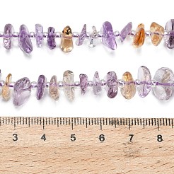 Perline ametrino naturale fili&nbsp;G-Z124-A02-02