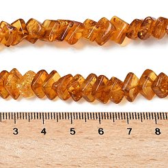 Naturbernsteinperlen Stränge&nbsp;G-K376-C03-01