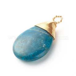 Natürliche Apatit Pendants&nbsp;PALLOY-JF00878