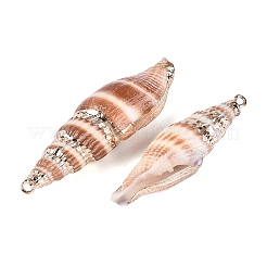 Pendentifs en coquillage spiralé naturel plaqués électrolytique&nbsp;SSHEL-Q100-27KCG