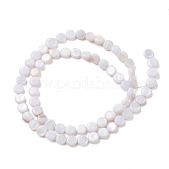 Colliers de perles en coquillage d'eau douce naturelle&nbsp;SH-CBACA76-17D