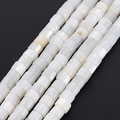 Eau douce naturelle de coquillage perles brins&nbsp;SHEL-N027-09