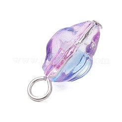 Anhänger aus transparentem Glas mit Sprühfarbe&nbsp;PALLOY-JF03689-02