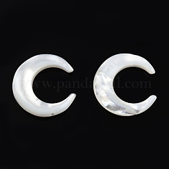 Colgantes de conector de concha blanca natural&nbsp;SSHEL-N034-159