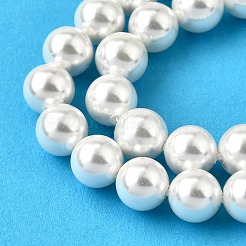 Regenbogen überzog Shell-Perle Perle Stränge&nbsp;X-BSHE-L025-02-8mm