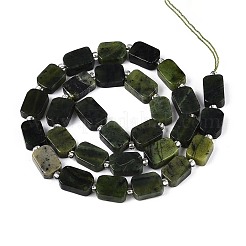 Natürliche kanadische Jade Perlen Stränge&nbsp;G-T138-26A-07