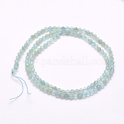Perline apatite naturale fili&nbsp;LS-G-I156-05-A