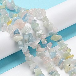 Naturperlen Stränge morganite&nbsp;G-S363-021-01