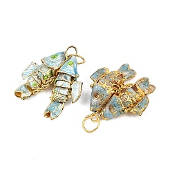 Pendentifs cloisonnés en laiton&nbsp;KK-P251-A01-G-04
