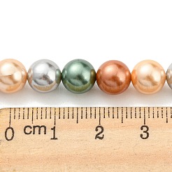 Perles de perles de coquille galvanoplastie&nbsp;SHEL-F008-03B-02