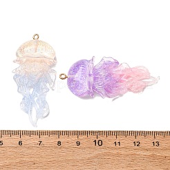 Pendentifs en résine transparente&nbsp;RESI-H039-04P