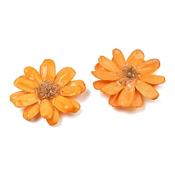 Grands pendentifs en résine époxy et fleurs séchées&nbsp;RE-CBAAE94-01E