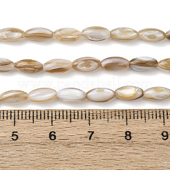 Natürlichen Süßwasser-Muschelperlen Stränge&nbsp;SHEL-K006-78A