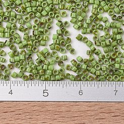 Miyuki Delica Perlen&nbsp;X-SEED-J020-DB2265