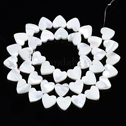 Natürliche Trochidschale / Trochusschalenperlenstränge&nbsp;SSHEL-N034-98A-B01