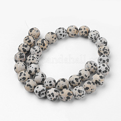 Natur Dalmatiner Jaspis Perle Stränge&nbsp;G-G735-68F-12mm