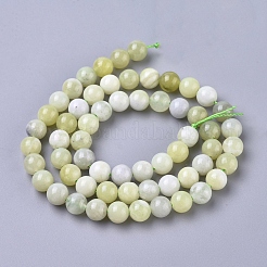 Natürliche Sinkiang Jade Perlen Stränge&nbsp;G-L538-036-6mm