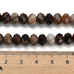 Natürliche versteinerte Holzperlen Stränge&nbsp;G-Z111-A50