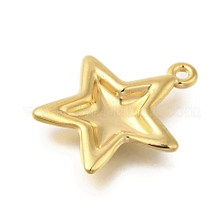 Anhänger aus Edelstahl 304&nbsp;LS-STAS-U027-03G-02