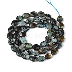 Natürliche afrikanische türkis (jasper) perlen stränge&nbsp;G-T142-28