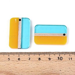 Colgantes de resina y madera transparentes&nbsp;RESI-T057-75