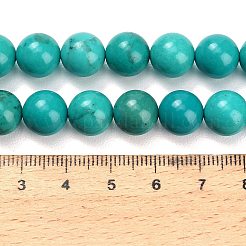 Natürliche Howlith Perlen Stränge&nbsp;G-Z149-A01-10mm