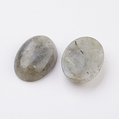 Cabochons à dos plat labradorite naturelle&nbsp;X-G-G741-18x25mm-18