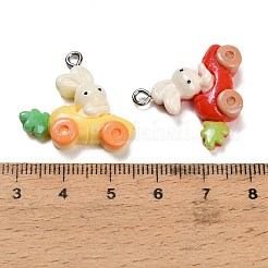Pendentifs en résine opaque&nbsp;RESI-B047-05