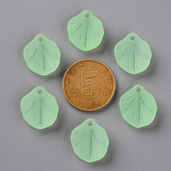 Pendentifs acryliques mats transparents&nbsp;MACR-S371-02A-733