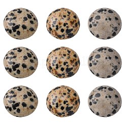 Gemstone cabochons&nbsp;G-H1596-FR-18mm-02