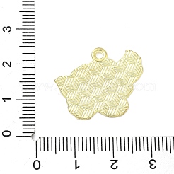 Emaille Anhänger Legierung&nbsp;ENAM-P258-02F-G