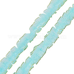 Ruban de dentelle en polyester double couche de 10 m&nbsp;OCOR-TA0004-14E