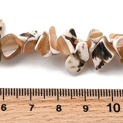 Natürliche Trochidschale / Trochusschalenperlenstränge&nbsp;SHEL-B003-02A