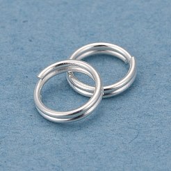 Anelli divisi in acciaio inossidabile 304&nbsp;STAS-P223-22S-01