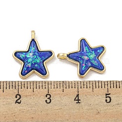 Pendentifs en résine translucide&nbsp;KK-M291-24D