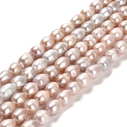 Fili di perle di perle d'acqua dolce coltivate naturali, riso, grado A +, bisque, 8.5~10.5x6.5~7.5mm, Foro: 0.7 mm, circa 35~39pcs/filo, 13.19 ~13.58'' (33.5~34.5 cm)