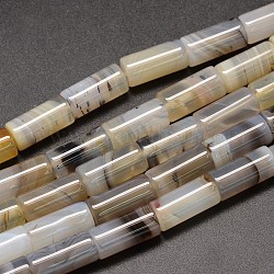 Filamentos de cuentas de ágata dendrítica natural de columna, 16x8mm, agujero: 1.2 mm, aproximamente 24 pcs / cadena, 14.9 pulgada