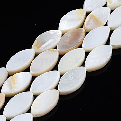 Natural Freshwater Shell Beads Strands, Horse Eye, Seashell Color, 10.5x5.5x2.5mm, Hole: 0.7mm, about 37pcs/strand, 15.43''(39.2cm)